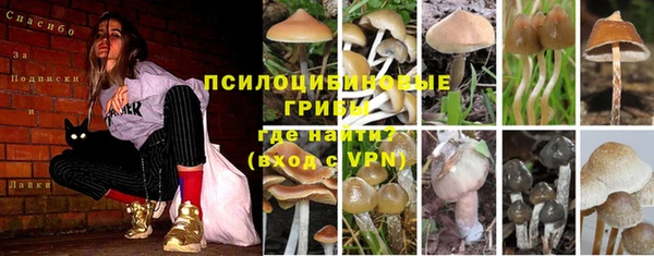 СК Волоколамск
